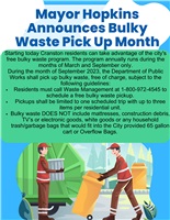 September Bulky Waste Waste Pick Up